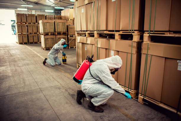 Best Cockroach Control Services  in New Hempstead, NY