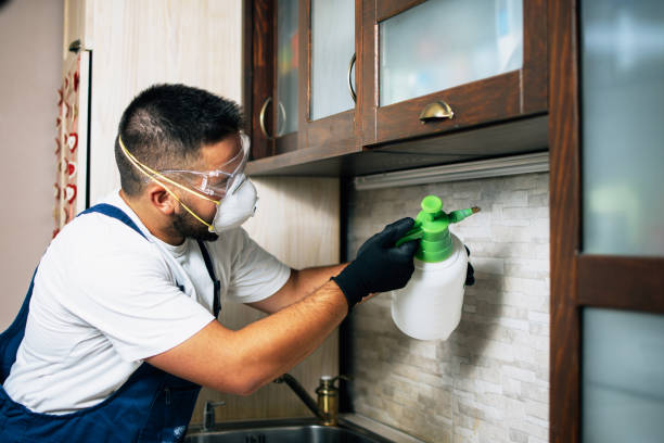 Best Cockroach Control Services  in New Hempstead, NY