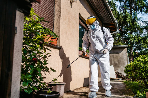 Best Mosquito Control Services  in New Hempstead, NY