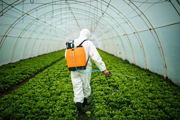 Best Pest Inspection Near Me  in New Hempstead, NY