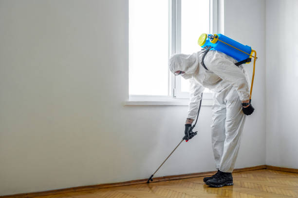 Best Commercial Pest Control Services  in New Hempstead, NY