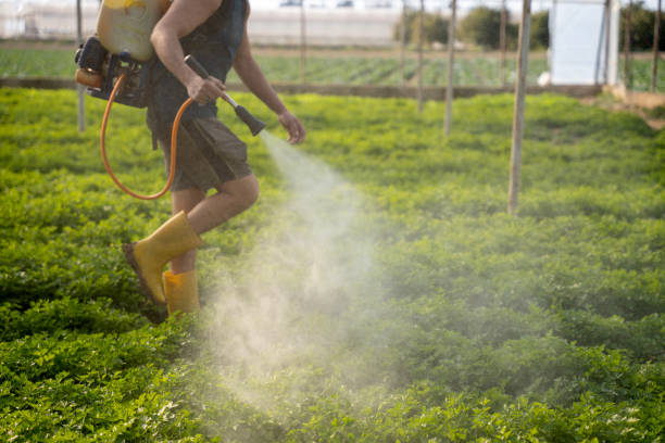 Best Pest Prevention Services  in New Hempstead, NY