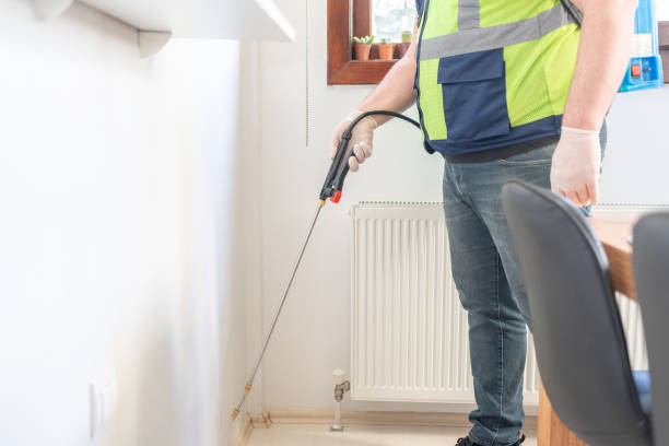 Best Termite Control Services  in New Hempstead, NY