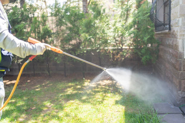 Best Pest Prevention Services  in New Hempstead, NY