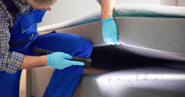 Best Pest Inspection Near Me  in New Hempstead, NY