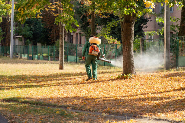 Best Best Pest Control Companies  in New Hempstead, NY