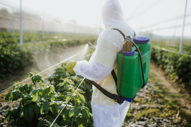 Best Termite Control Services  in New Hempstead, NY